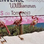 La Mariposa Elena Ciudad Quesada