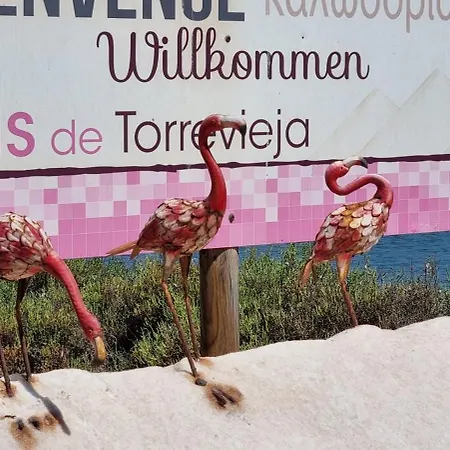 La Mariposa Elena Ciudad Quesada